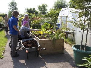 A stroke of genius at Normandy Therapy Garden